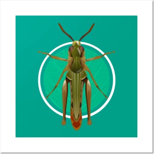 grasshopper Posters and Art